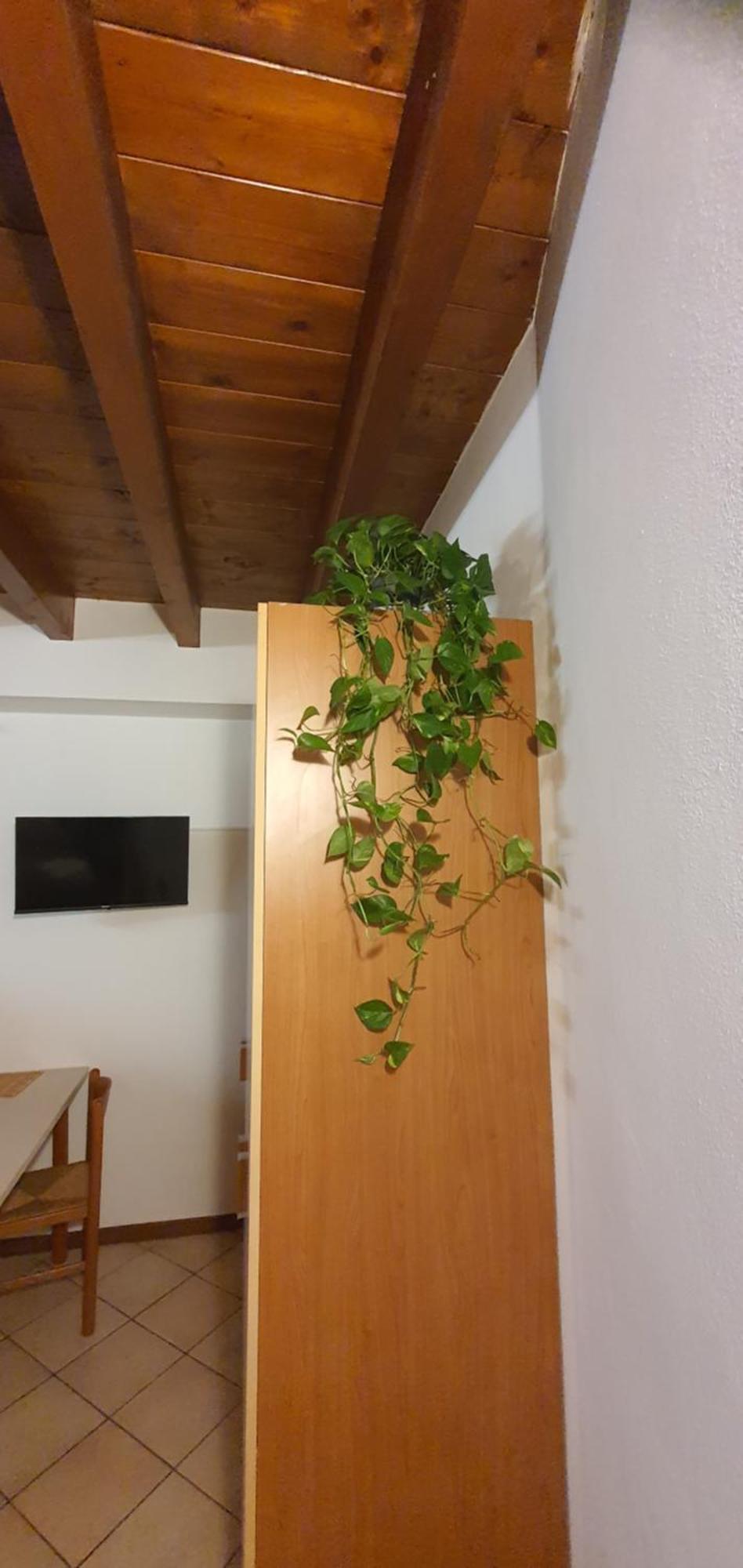Bnbg - Ronzoni Bergamo Zewnętrze zdjęcie